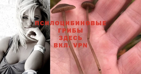 соль ск Алзамай