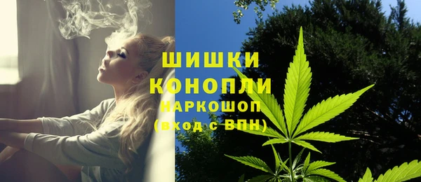 соль ск Алзамай