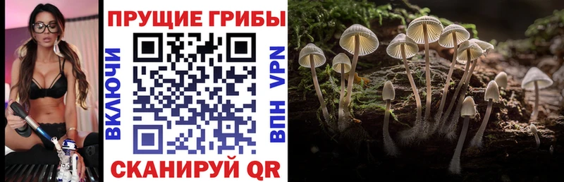 Псилоцибиновые грибы MAGIC MUSHROOMS  Купить закладки  Симферополь 
